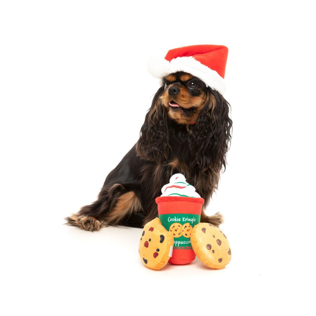 Hund mit Cookie Kringle Puppuccino & Cookies - FuzzYard