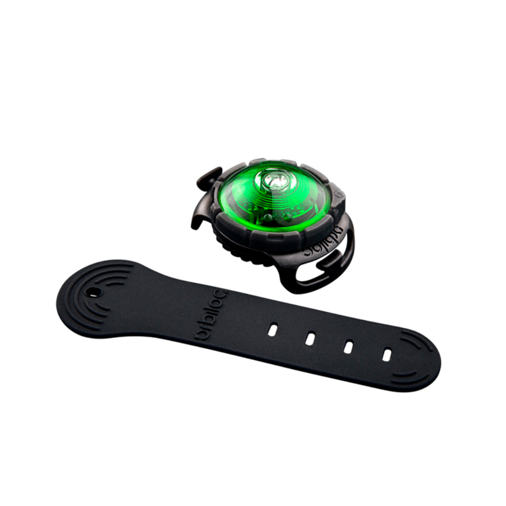 Orbiloc® Dog Dual LED Hundesicherheitslicht grün mit Band