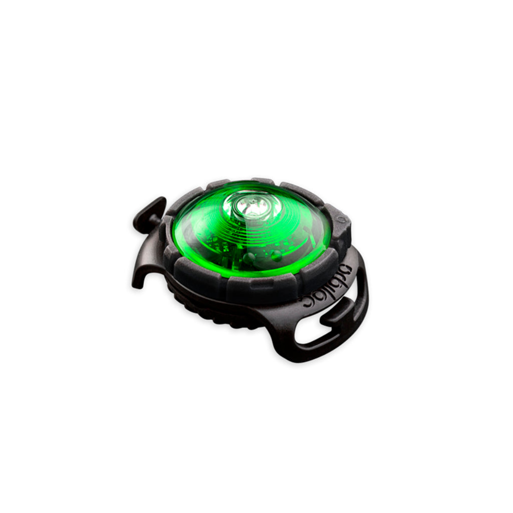 Orbiloc® Dog Dual LED Hundesicherheitslicht grün