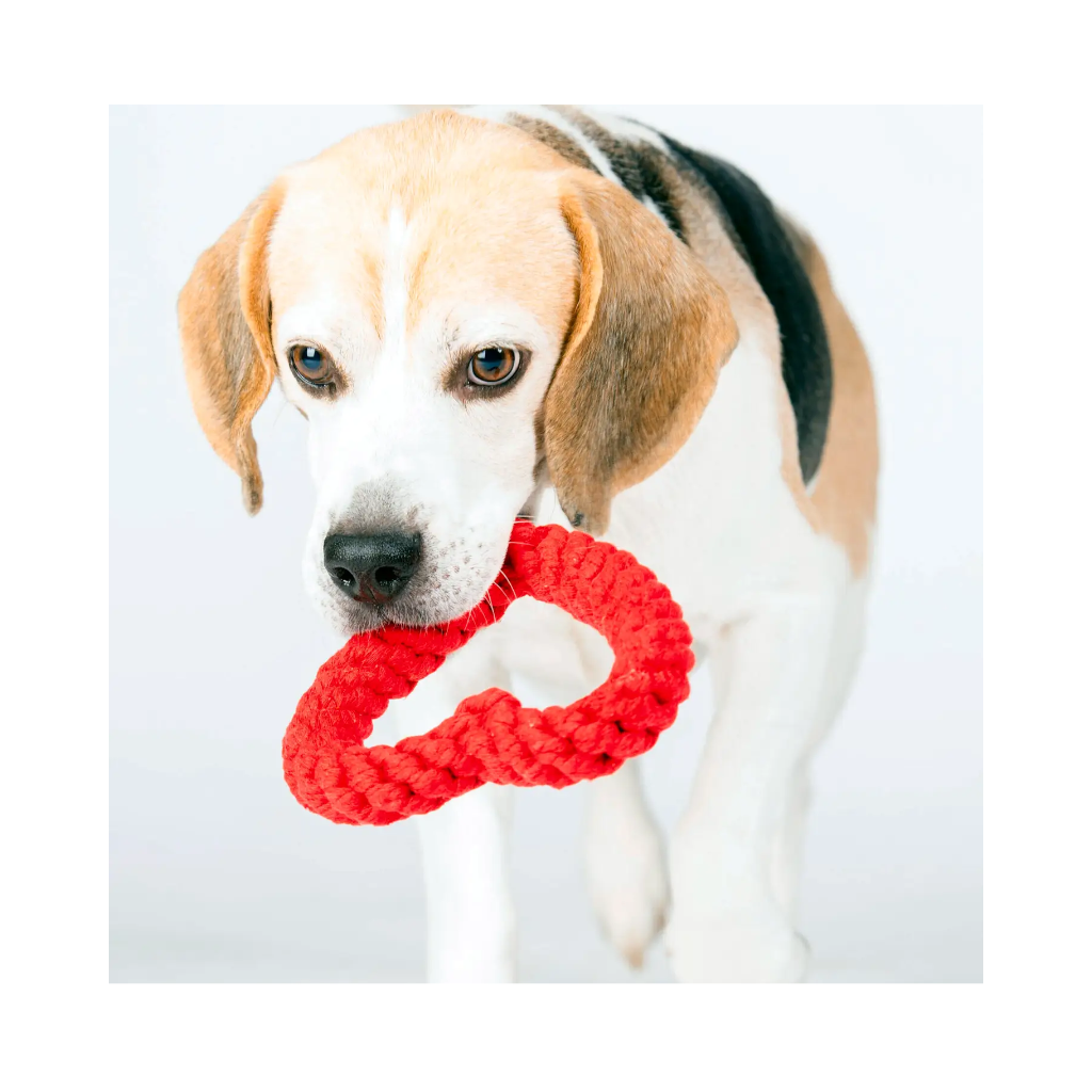 Hund mit Herz Hundespielzeug Heart Hertha - Laboni
