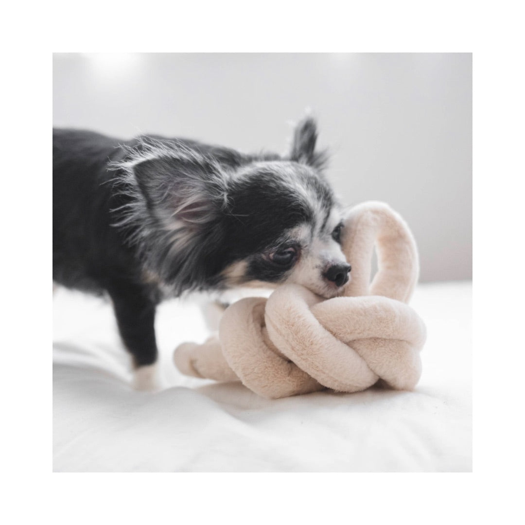 Hund mit NOUNOUNOU Hundespielzeug Nudel Knoten Pearl für Welpen 2 - Lambwolf Collective