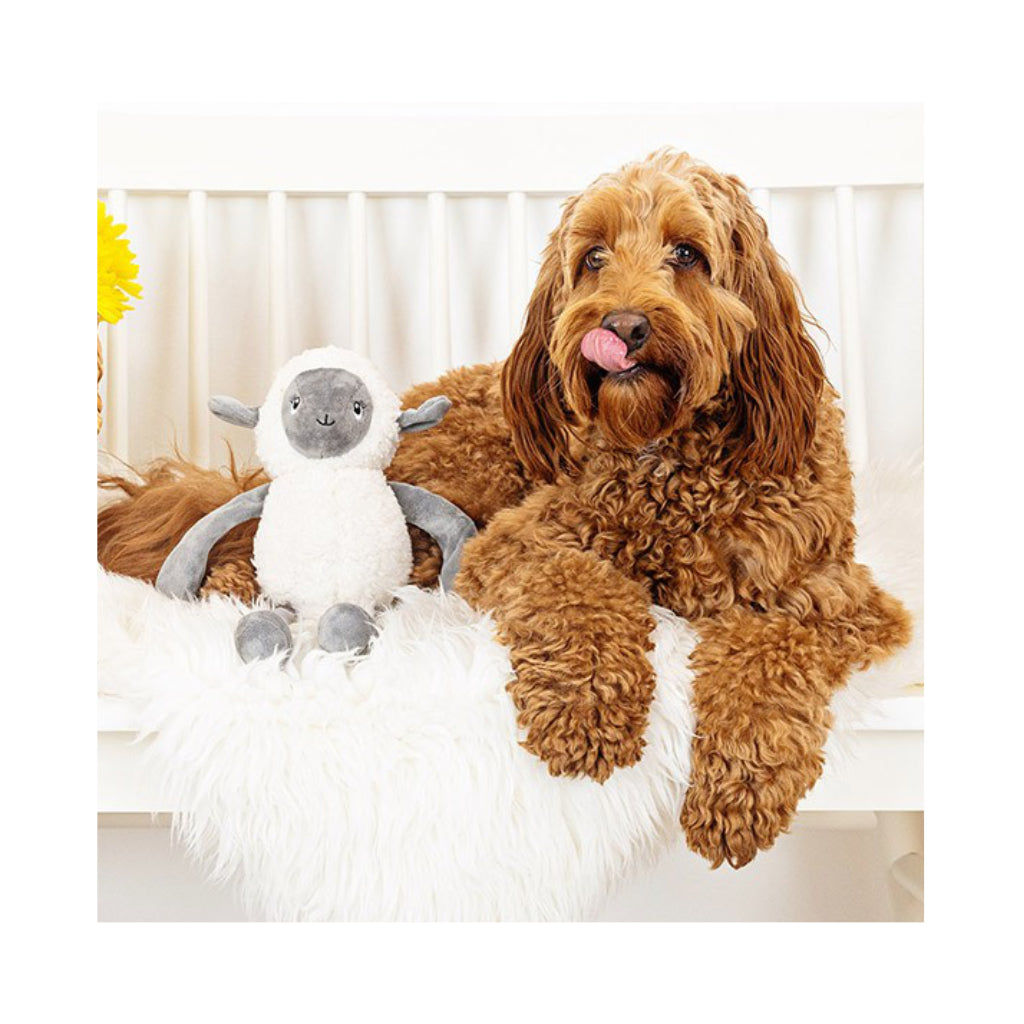 Hund mit Hundespielzeug Little Lamby - PetShop by Fringe Studio