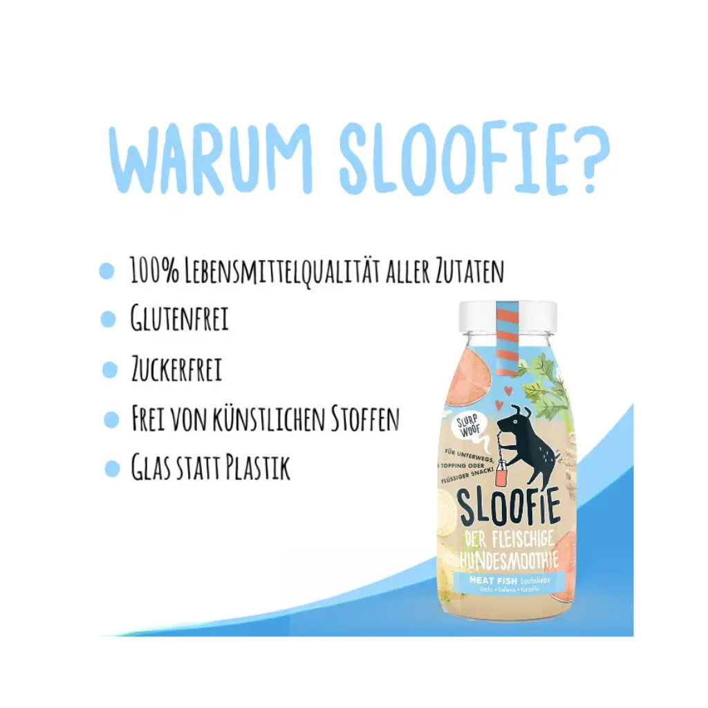 Warum Sloofie - MEAT FISH Lachsliebe - Sloofie HUndesmoothie