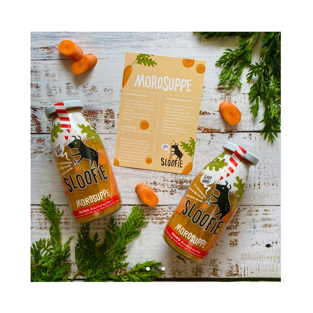 Sloofie Hundesmoothie / Suppe - MORO Bauchstreichler Übersicht