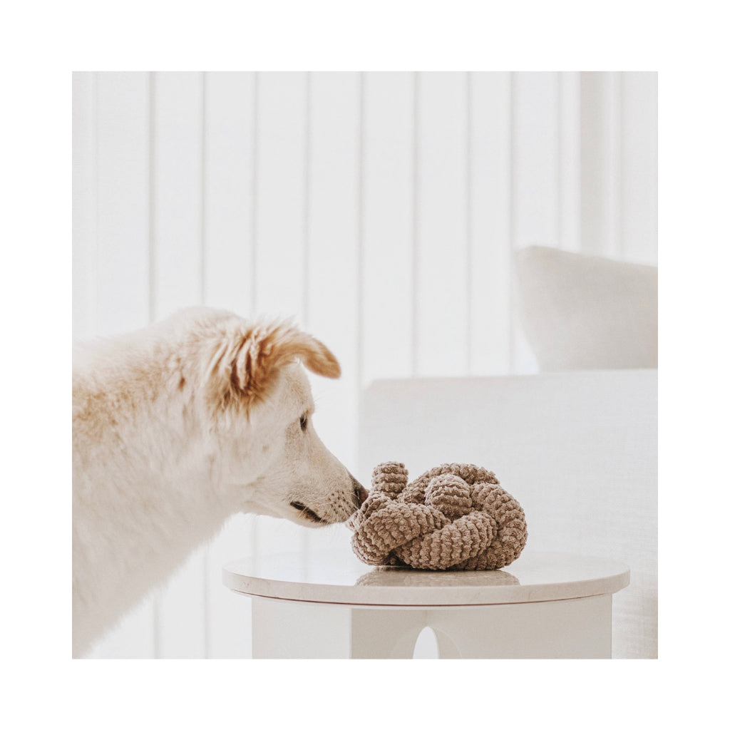 Hund mit NOU Hundespielzeug Nudel Knoten in Taupe mit Crinkles 2 - Lambwolf Collective