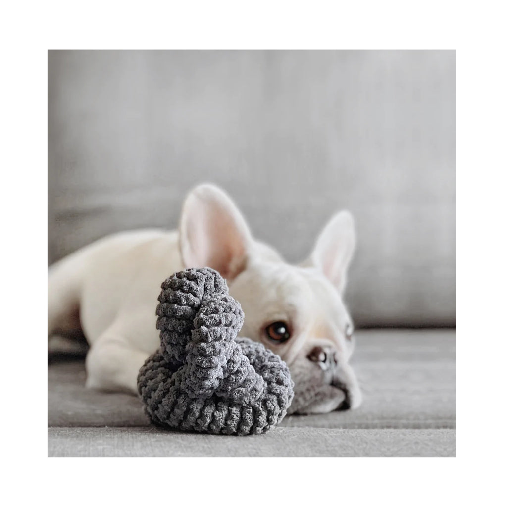 Frenchie mit NOUNOUNOU Hundespielzeug Nudel Knoten in Grau mit Crinkles - Lambwolf Collective