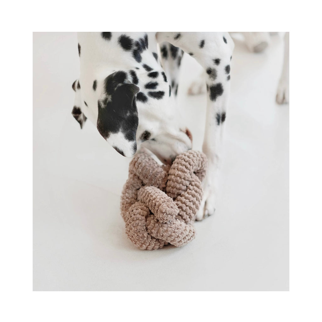 Hund mit NOU Hundespielzeug Nudel Knoten in Taupe mit Crinkles - Lambwolf Collective