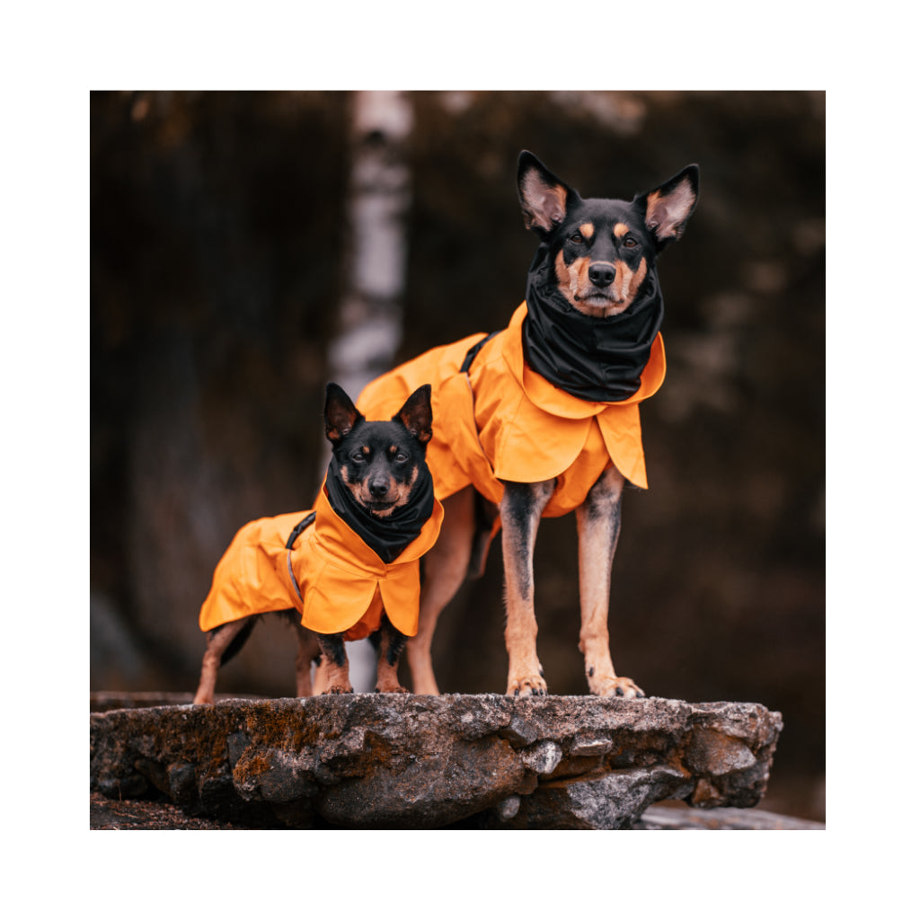 Hunde mit Hunderegenmantel Raincoat Recovery Orange reflektierend - PAIKKA