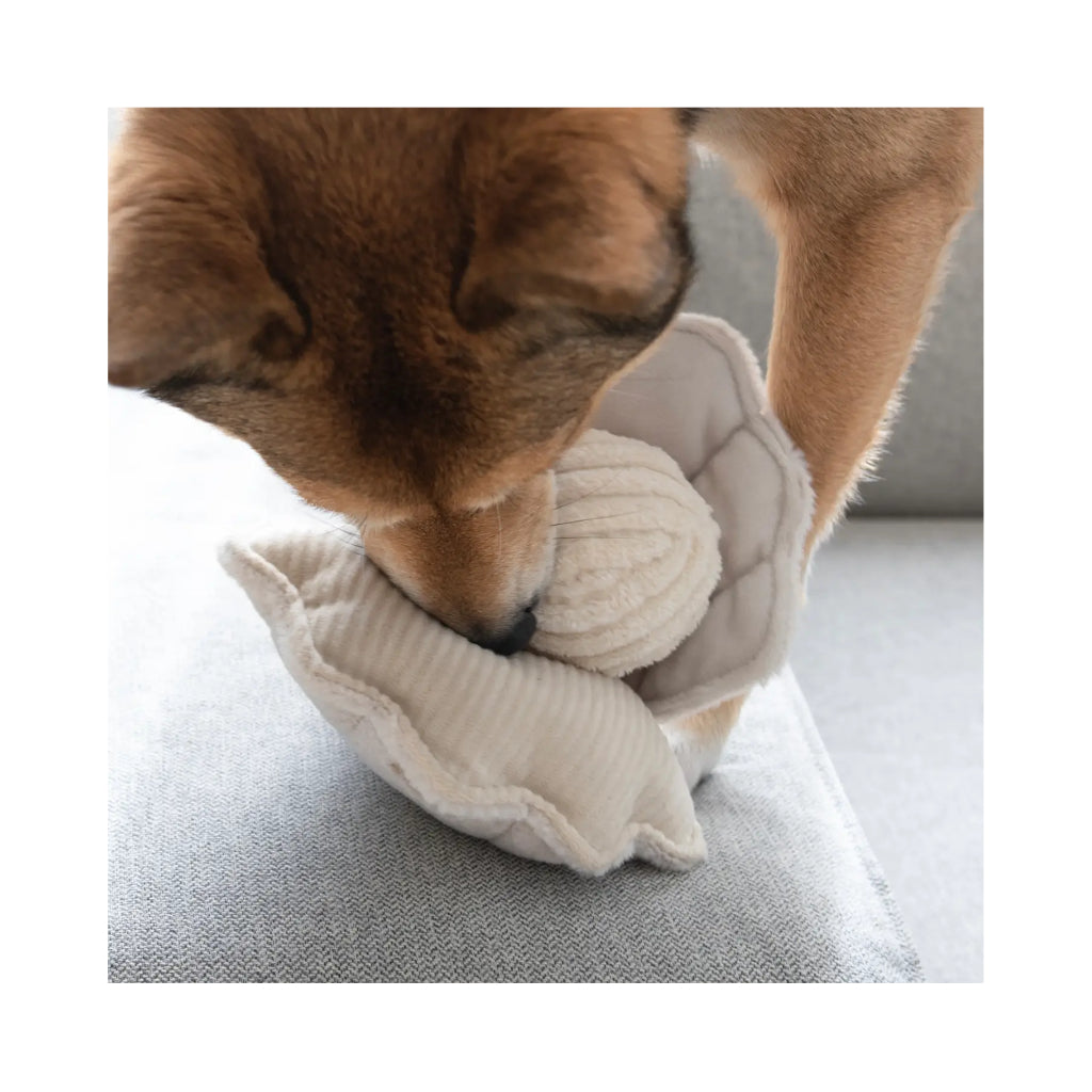 Hund mit Hundespielzeug OYSTER POP 2 - Lambwolf Collective
