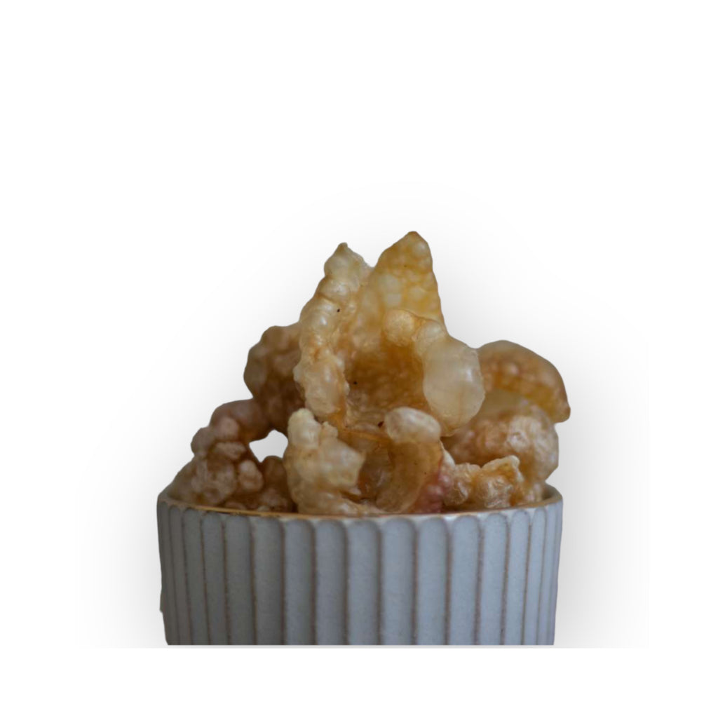 Hunde Popcorn - Paul & Paulina