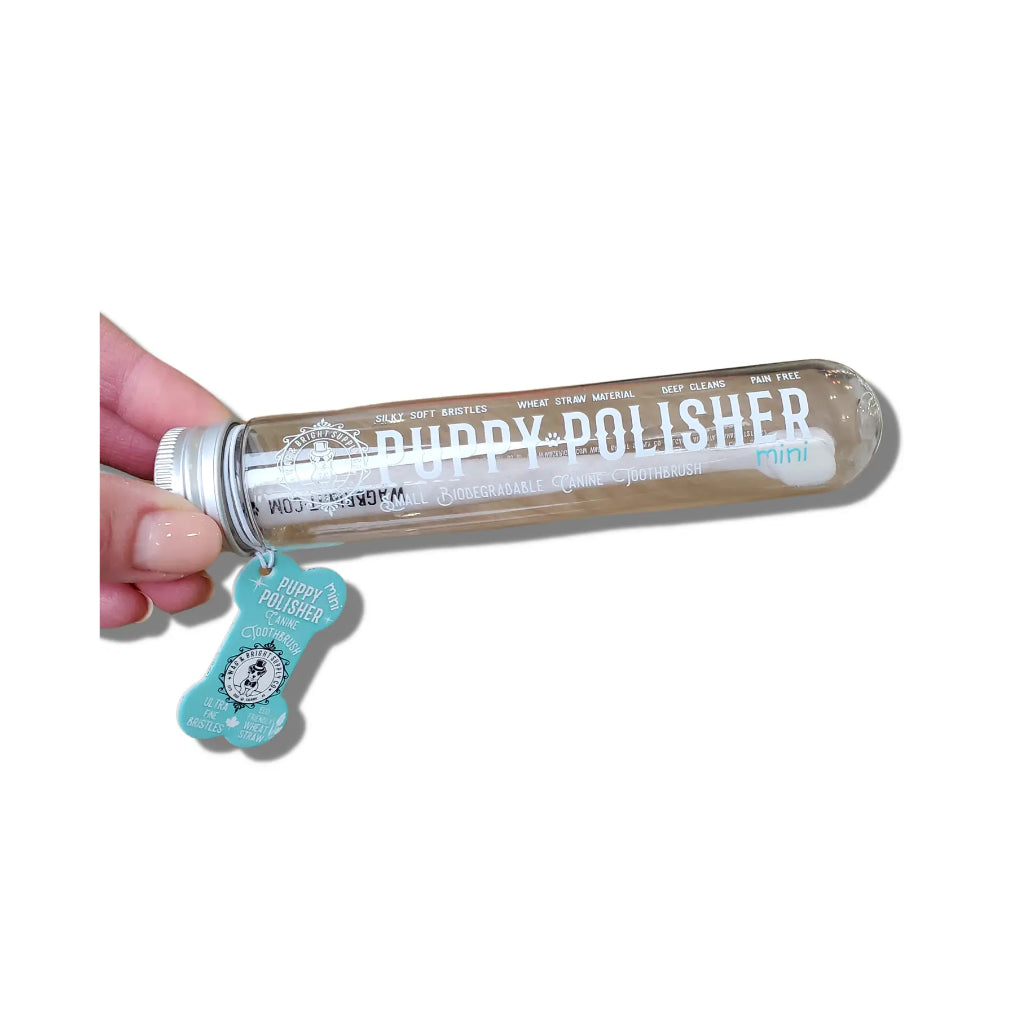 Puppy Polisher ultraweiche ECO Zahnbürste MINI - Wag & Bright Supply Co.