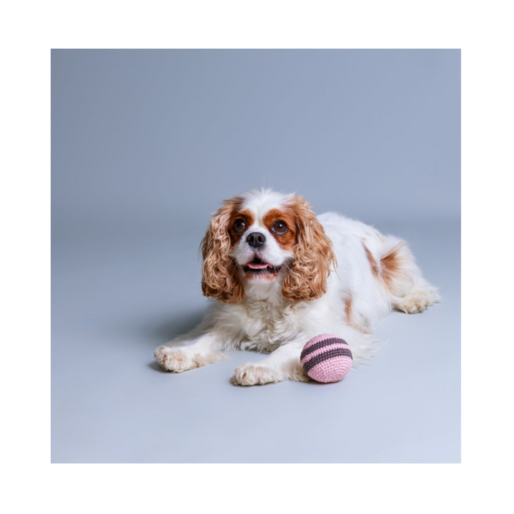 Hund mit Ball RAINBOW gehäkelt ROSA BRAUN - Lillabel / Lilly