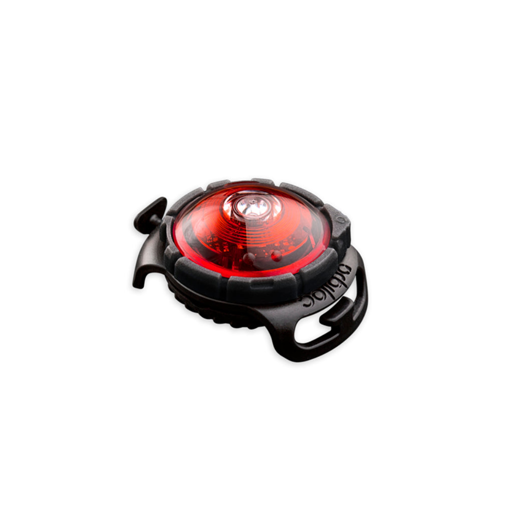 Orbiloc® Dog Dual LED Hundesicherheitslicht rot
