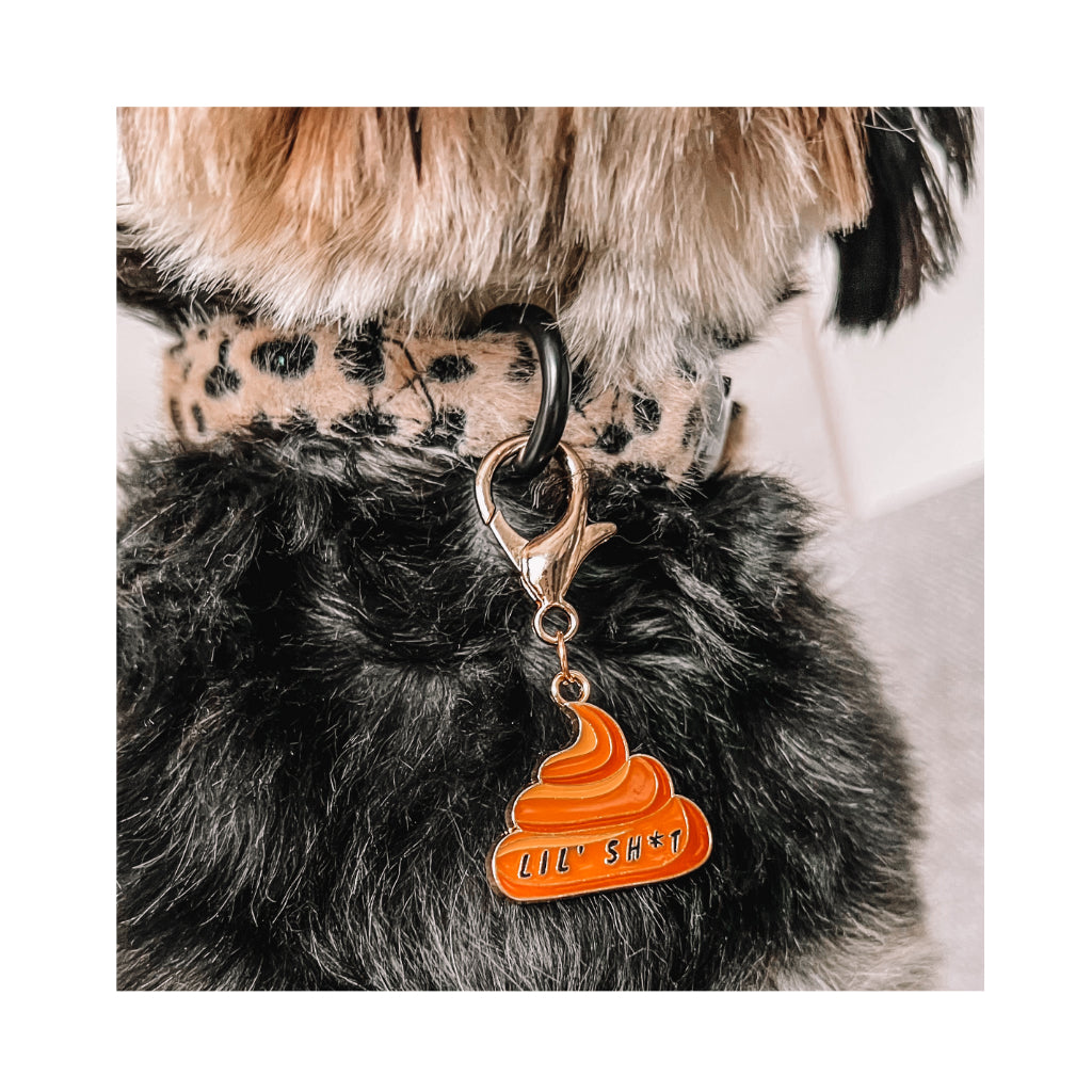 Charms Anhänger mit lustigen Motiven fürs Halsband