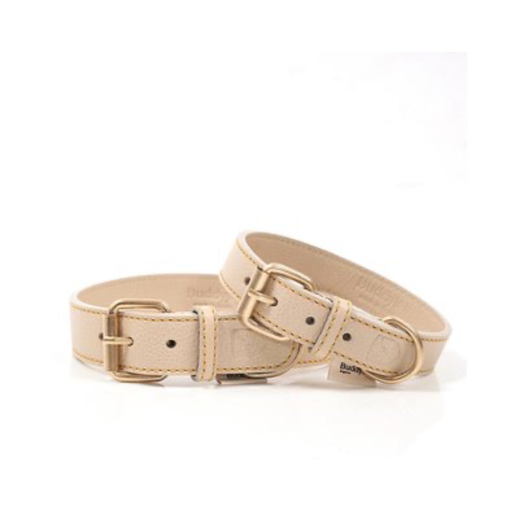 Halsband Sir Chuck BEIGE - Buddys Dogwear