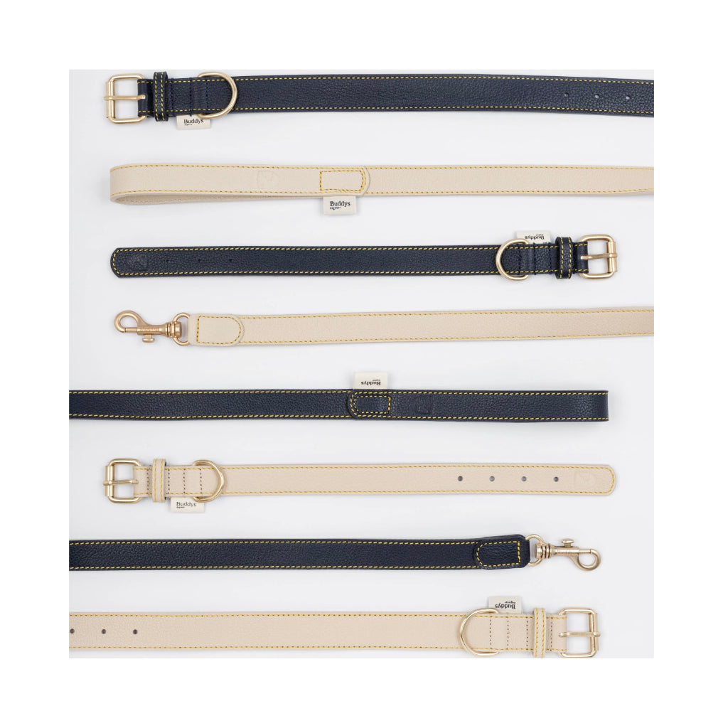 Hundeleine Sir Chuck NAVY