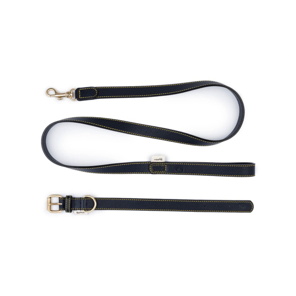 Halsband Sir Chuck NAVY