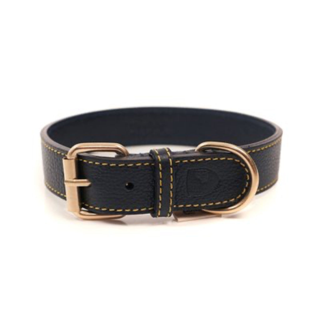 Halsband Sir Chuck NAVY 2 - Buddys Dogwear