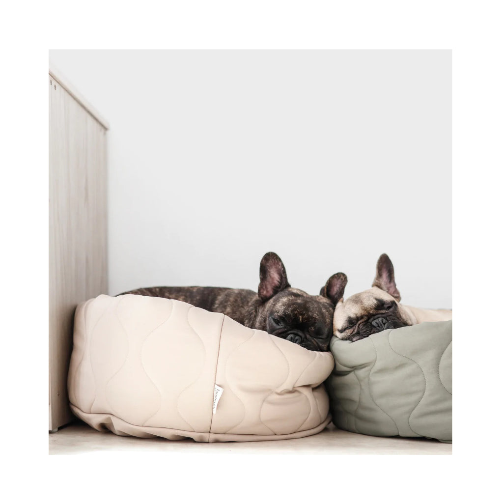 Hundekuschelsack TAART wendbar BEIGE & OLIV - Lambwolf Collective