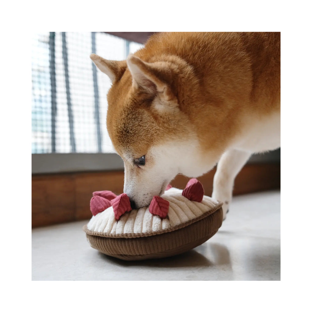 Hund mit Schnüffelspielzeug Beerentorte BERRY PIE - Lambwolf Collective