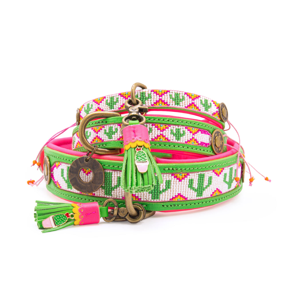 Tropical Summer Halsband für Hunde gestappelt - Dog with a Mission - DWAM