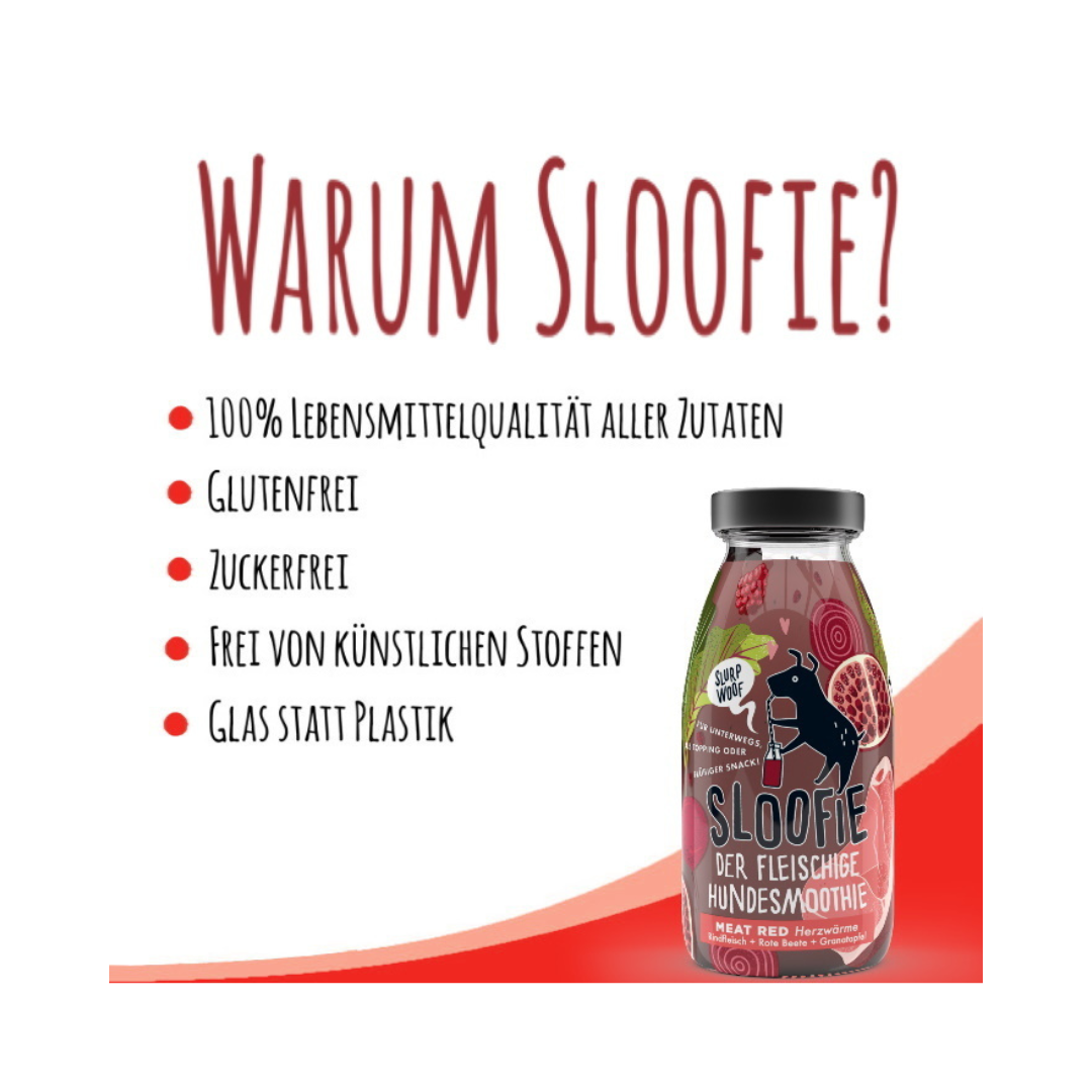 Warum Sloofie Hundesmoothie - MEAT RED Herzwärme