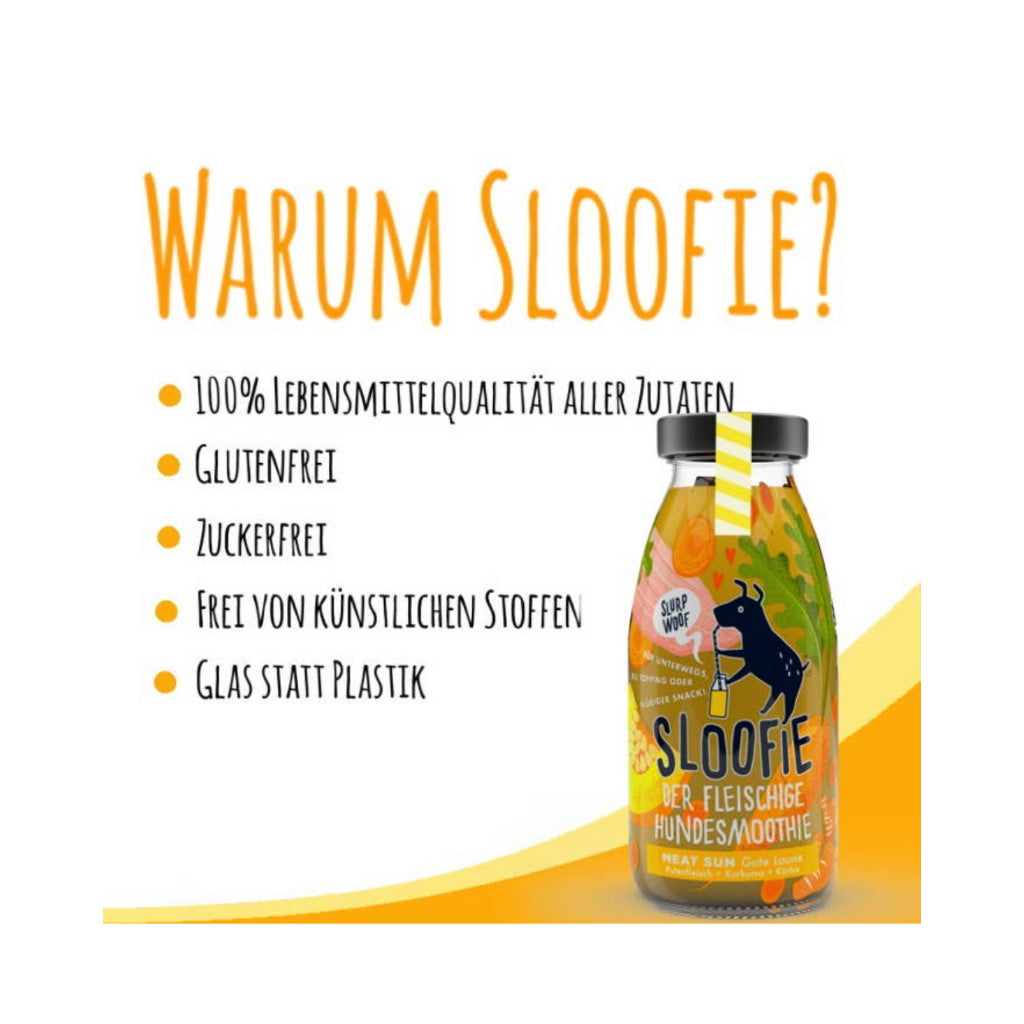 Warum Sloofie Hundesmoothie - MEAT SUN Gute Laune