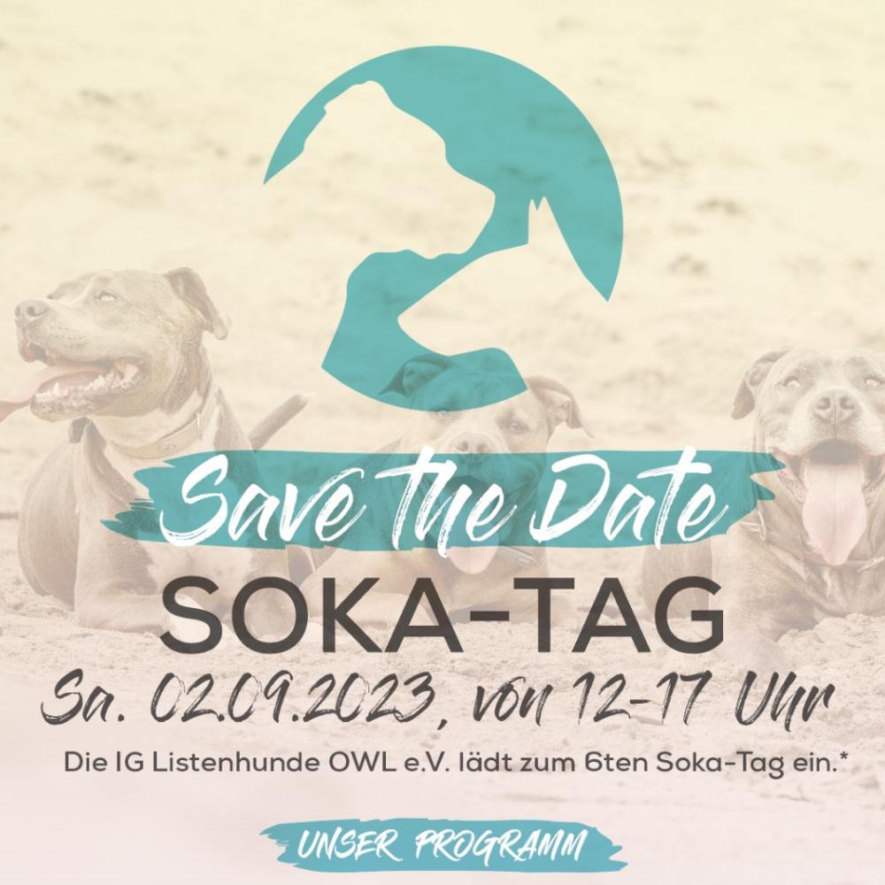Titelbild Blog Beitrag SOKA-Tag 2023 - wir waren dabei! - LOVIN'DOG