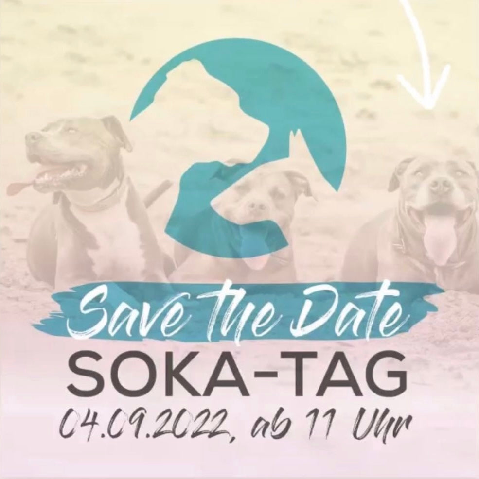 Titelbild Blog Beitrag SOKA-Tag 2022 - wir waren dabei! - LOVIN'DOG