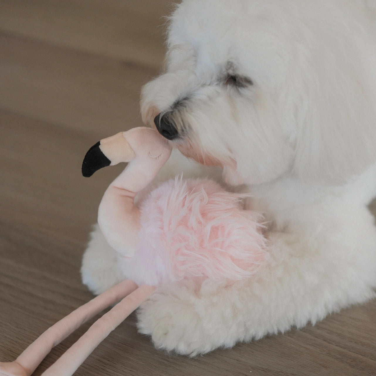 Hundespielzeug Flamingo