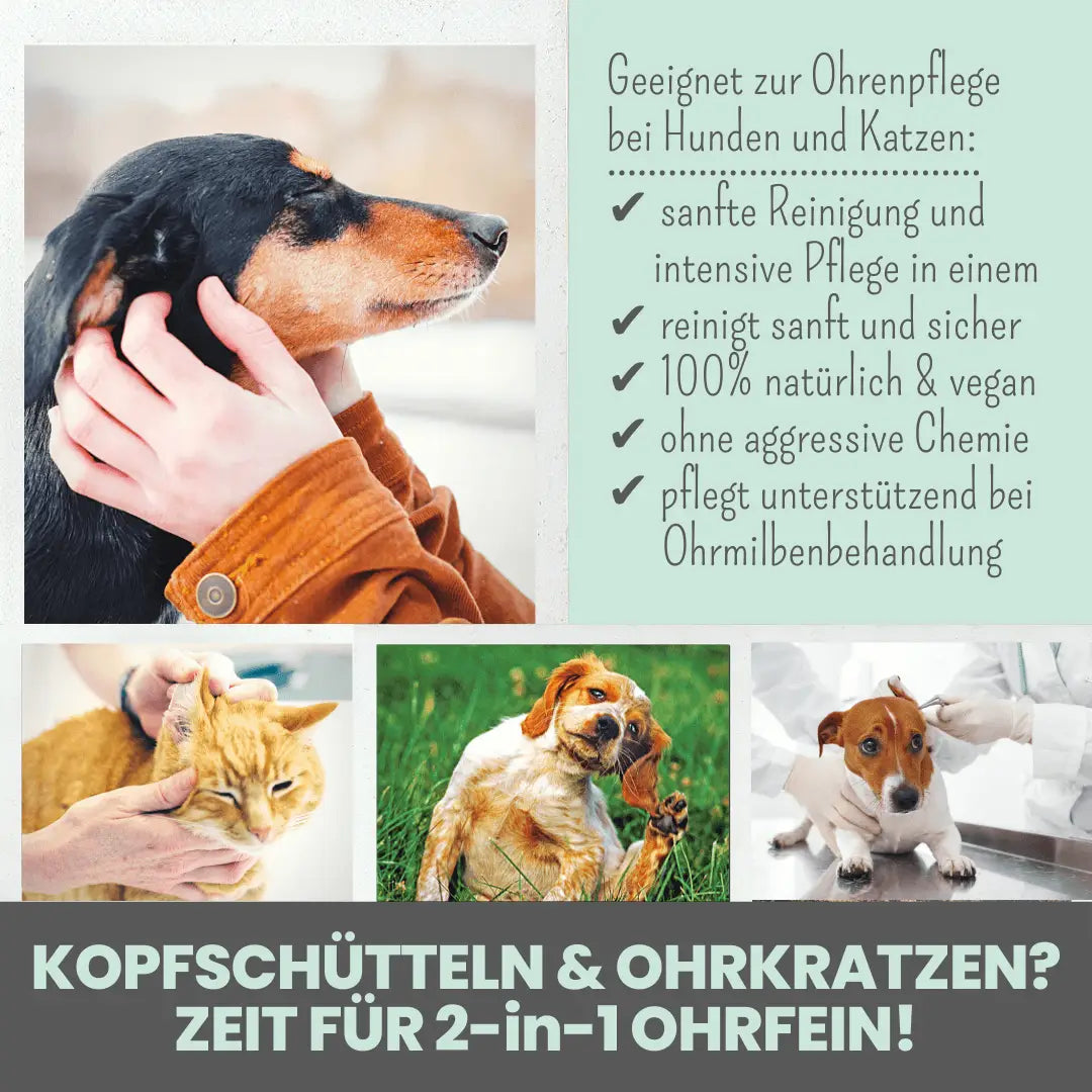 noms+ 2-in-1 Ohrfein Reinigung & Pflege mit kolloidalem Silber
