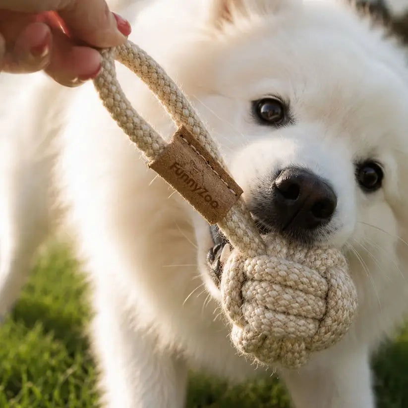 Hundespielzeug MINI BALL für kleine Hunde