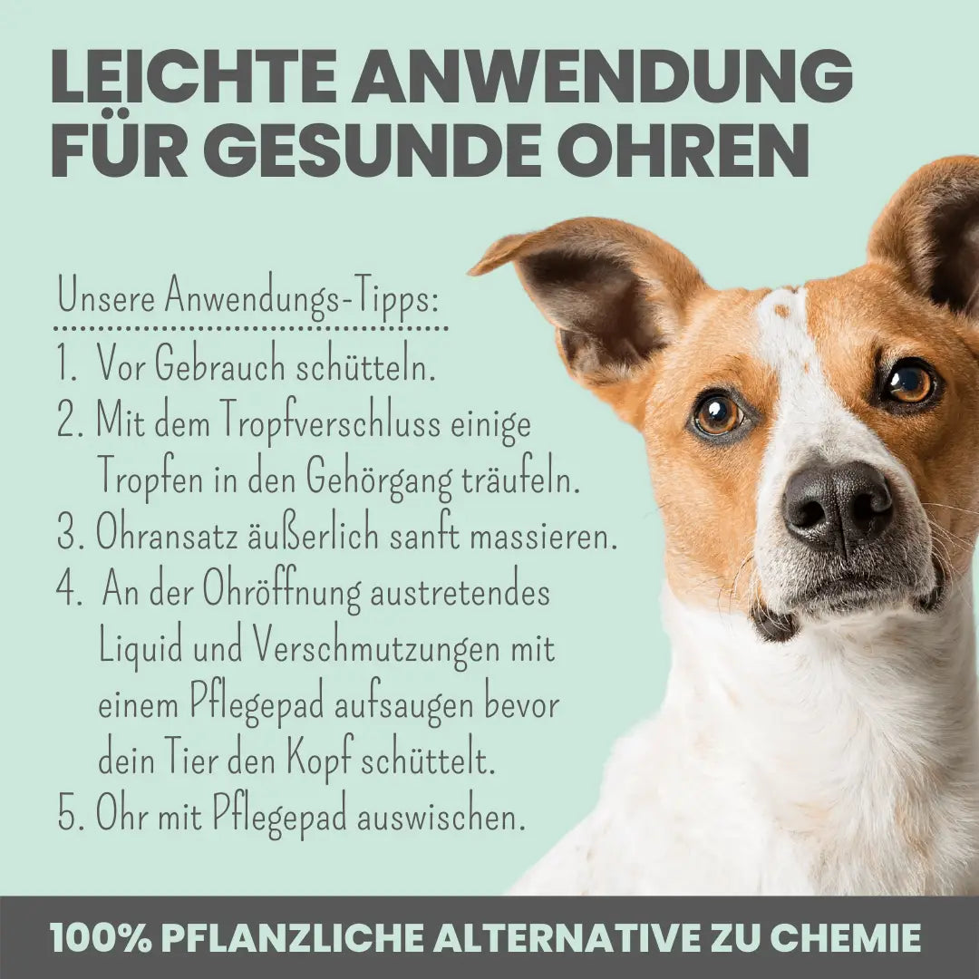 noms+ 2-in-1 Ohrfein Reinigung & Pflege mit kolloidalem Silber