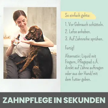 noms+ Dental-Spray bei Zahnstein