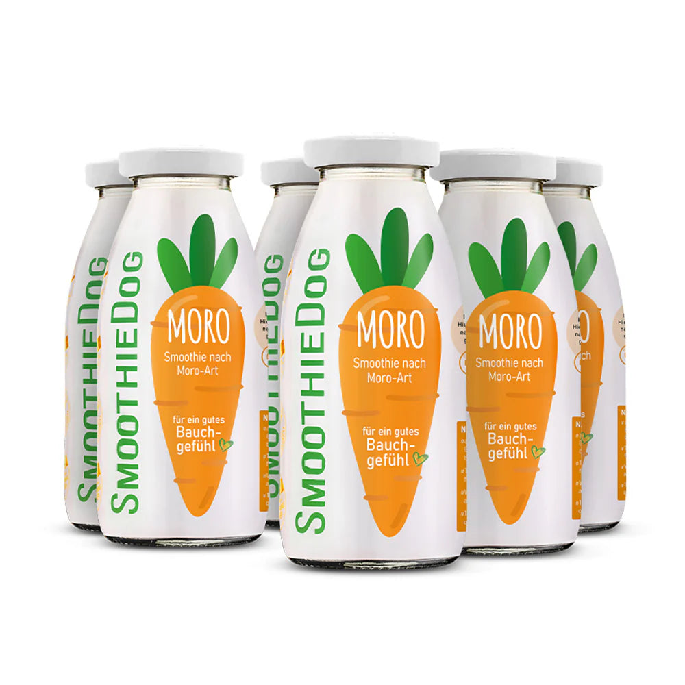 SmoothieDog Morosche Karottensuppe