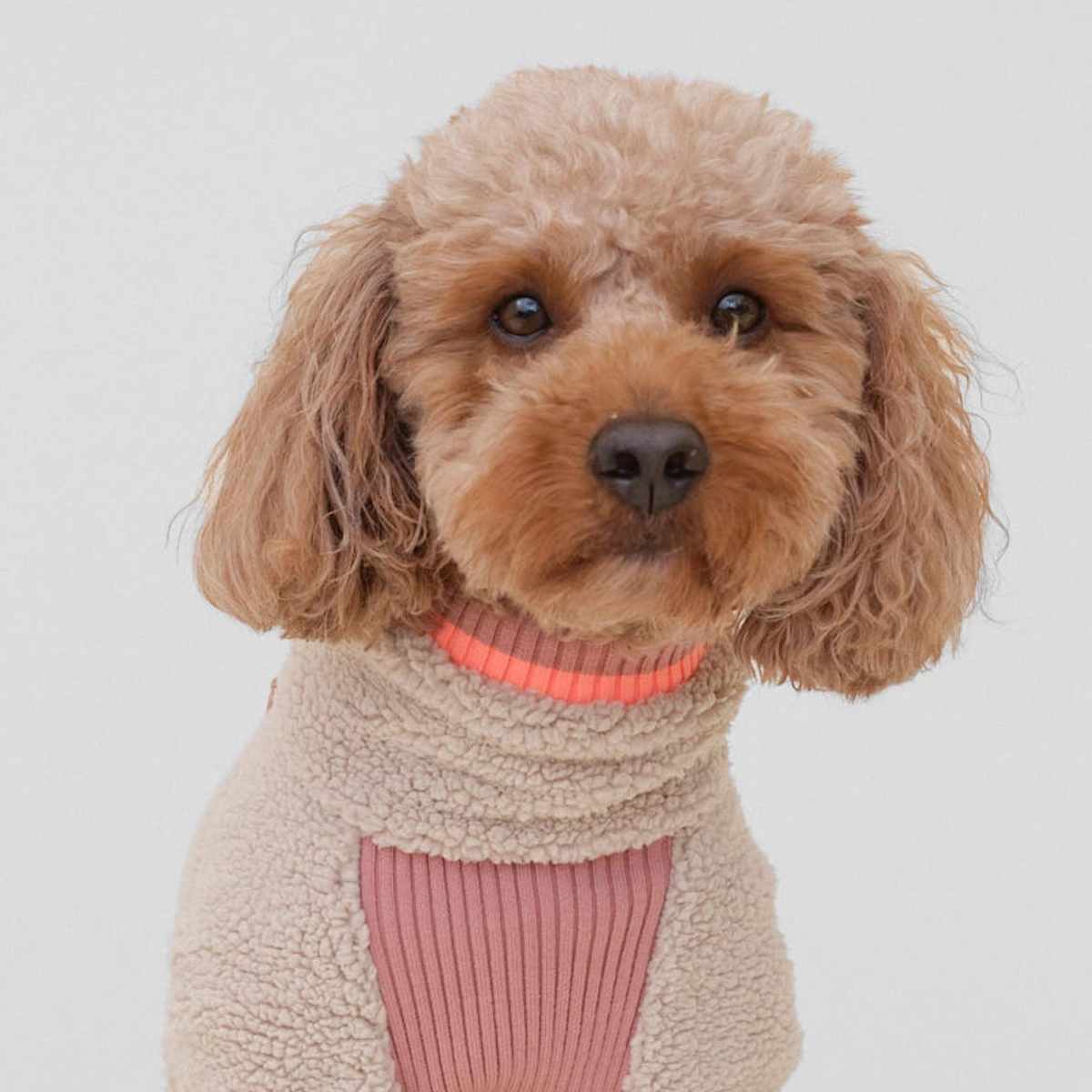lumiies® Sport Racer Hundeoverall aus Teddy-Sherpa-Fleece Royal Rosewood