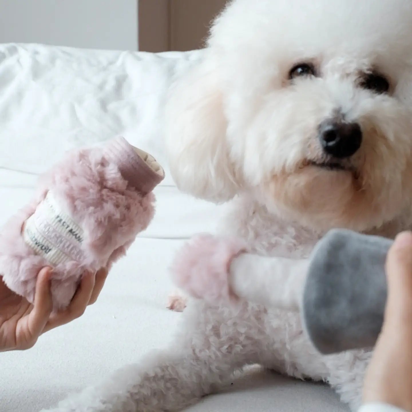 Hundespielzeug Nagellack