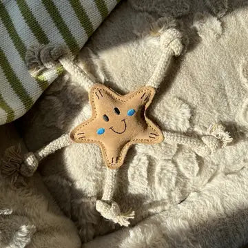 Hundespielzeug STERN Stellina Klein aus Wildleder