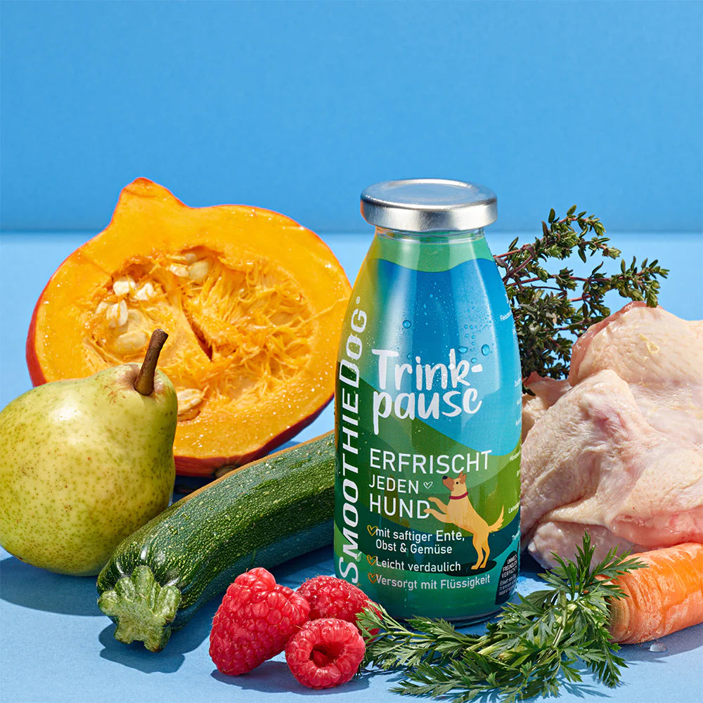 SmoothieDog Trinkpause (Ente)