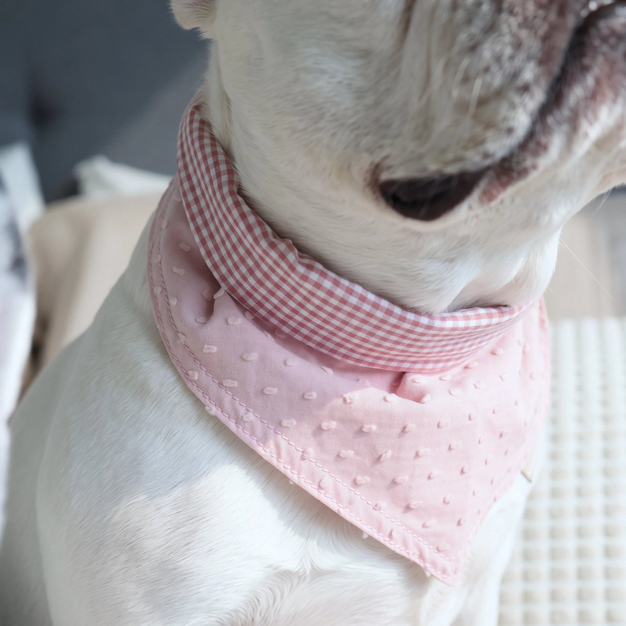 Lambwolf Bandana Halstuch Rosa