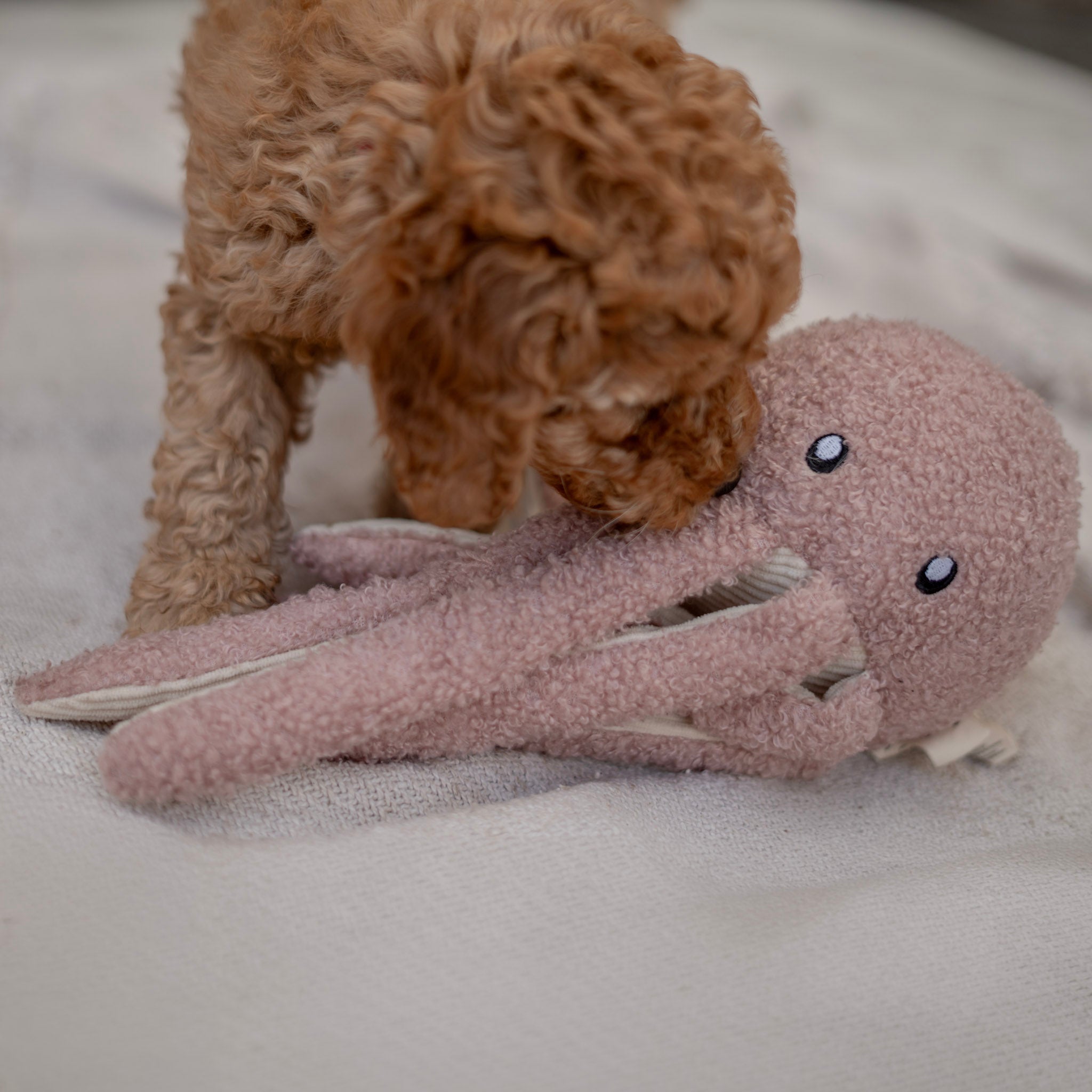 Hundespielzeug - Sea Life Toy - Soft Blush Octopus