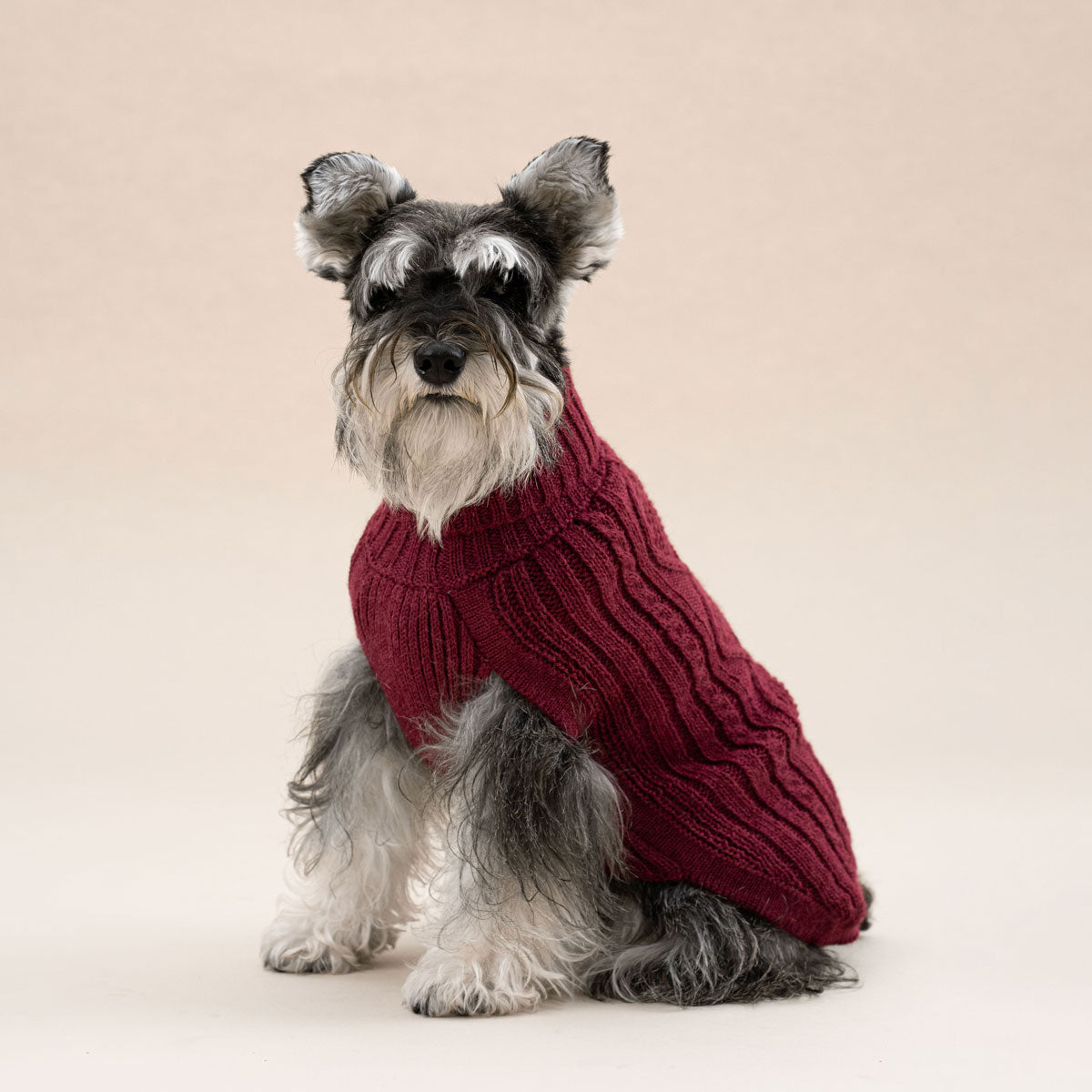 Hundepullover ARAN Diamant in Burgundy aus Alpaka