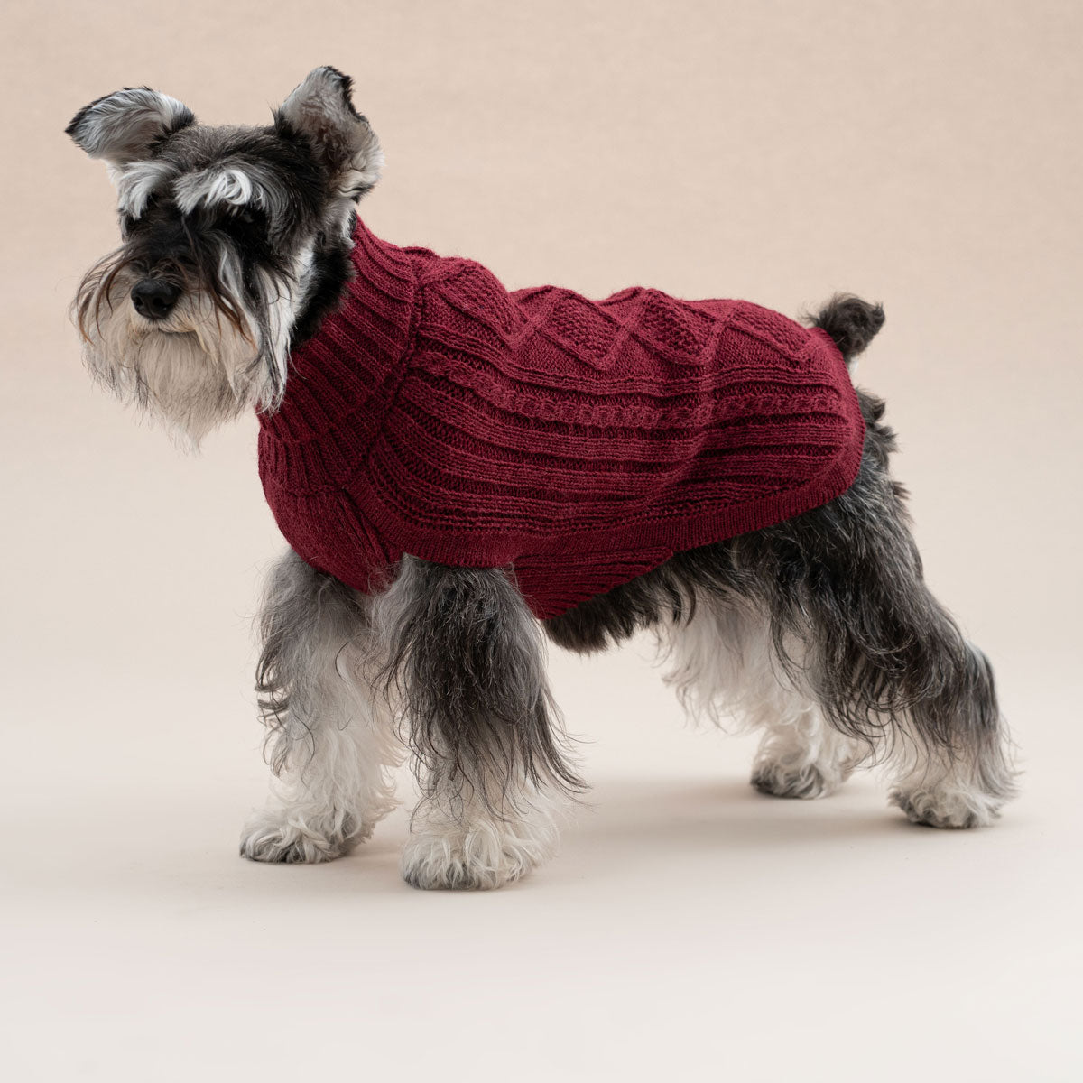 Hundepullover ARAN Diamant in Burgundy aus Alpaka