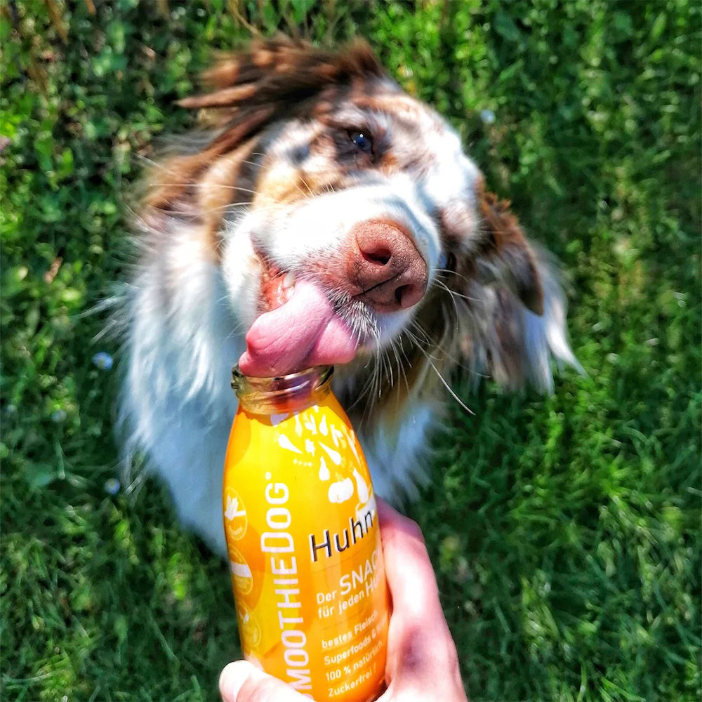 SmoothieDog Smoothie Huhn