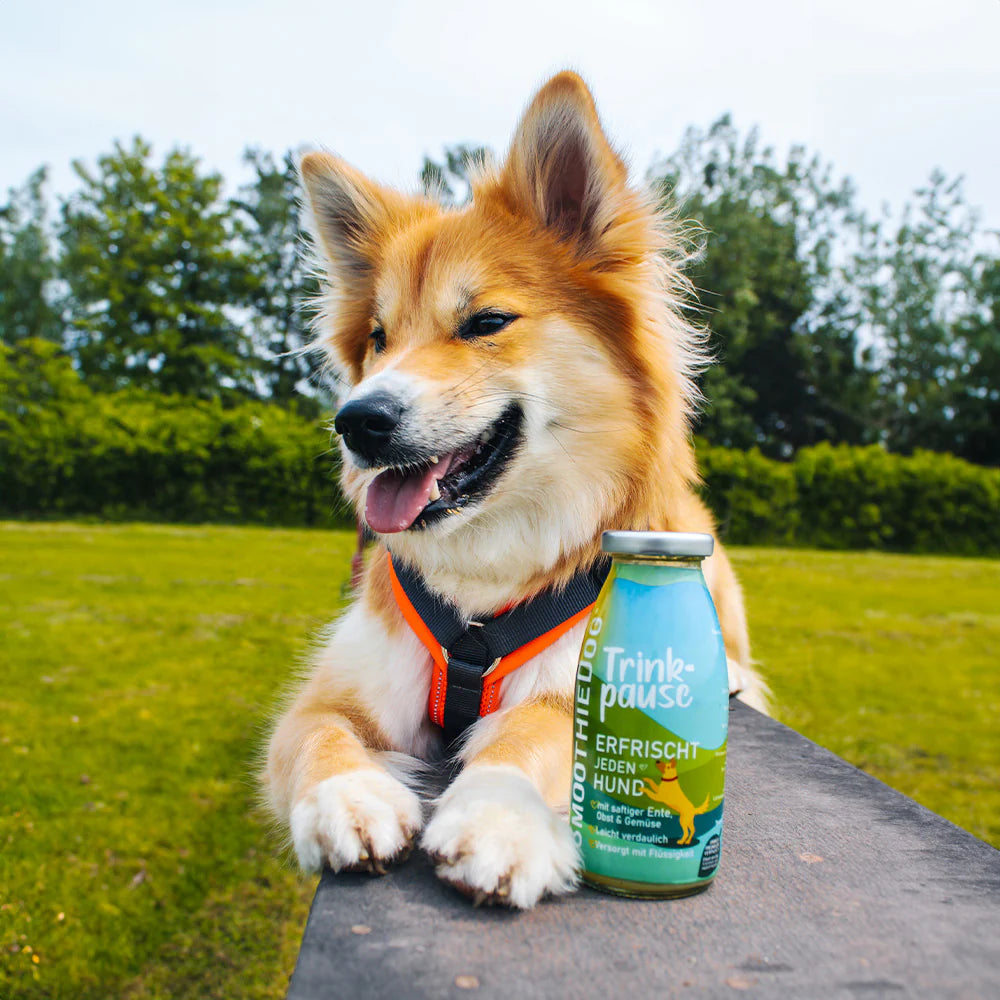 SmoothieDog Trinkpause (Ente)