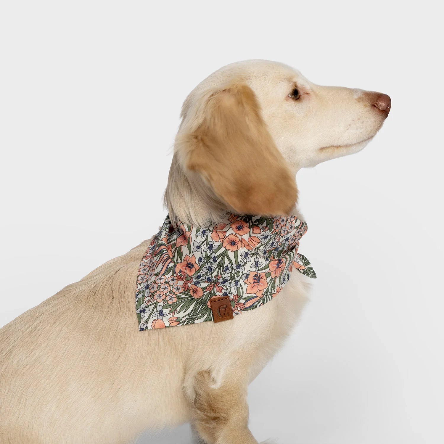 Cloud7 Hundehalstuch Bandana LTTL Blossoms