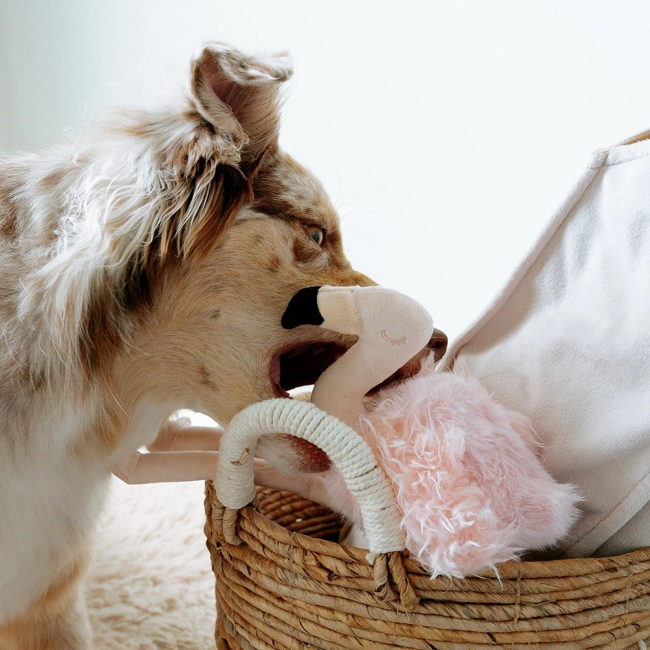 Hundespielzeug Flamingo