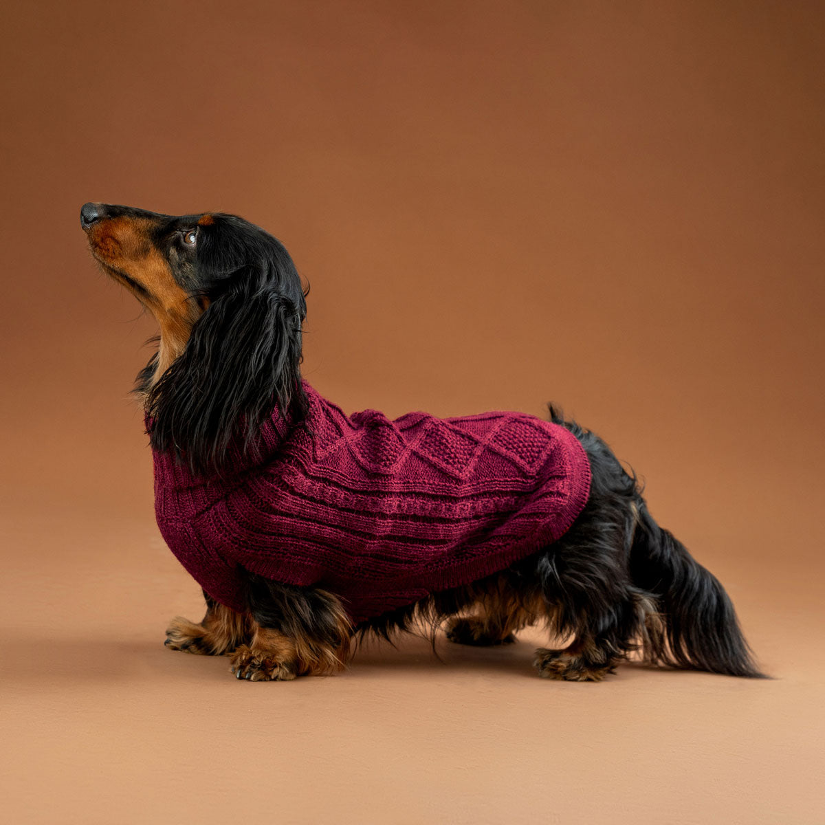 Hundepullover ARAN Diamant in Burgundy aus Alpaka