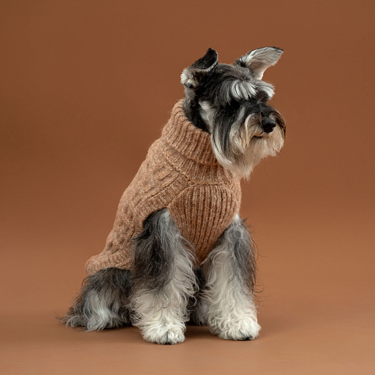 Hundepullover Golden Basket aus Alpaka & Pima-Baumwolle