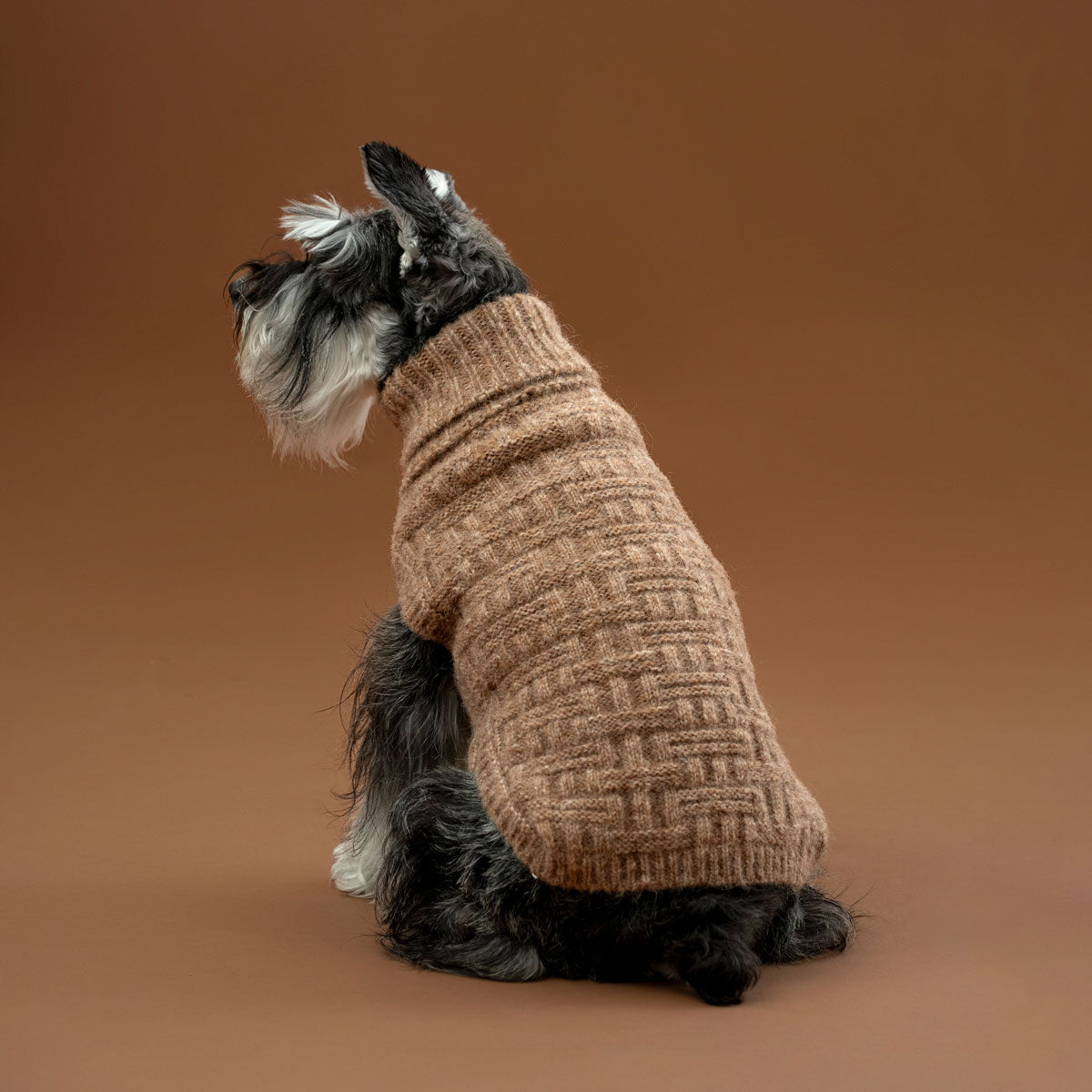 Hundepullover Golden Basket aus Alpaka & Pima-Baumwolle